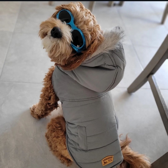 Meet your Posher, Toni - Picture 7 of 8